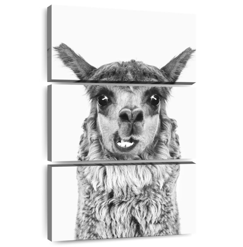 Brampt Happy Alpaca en noir et blanc, H 32 po x l 20 po
