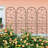 4 Pack Metal Garden Trellis