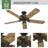 52" Bridgeport 5 - Blade Outdoor Standard Ceiling Fan with Pull Chain-23681515