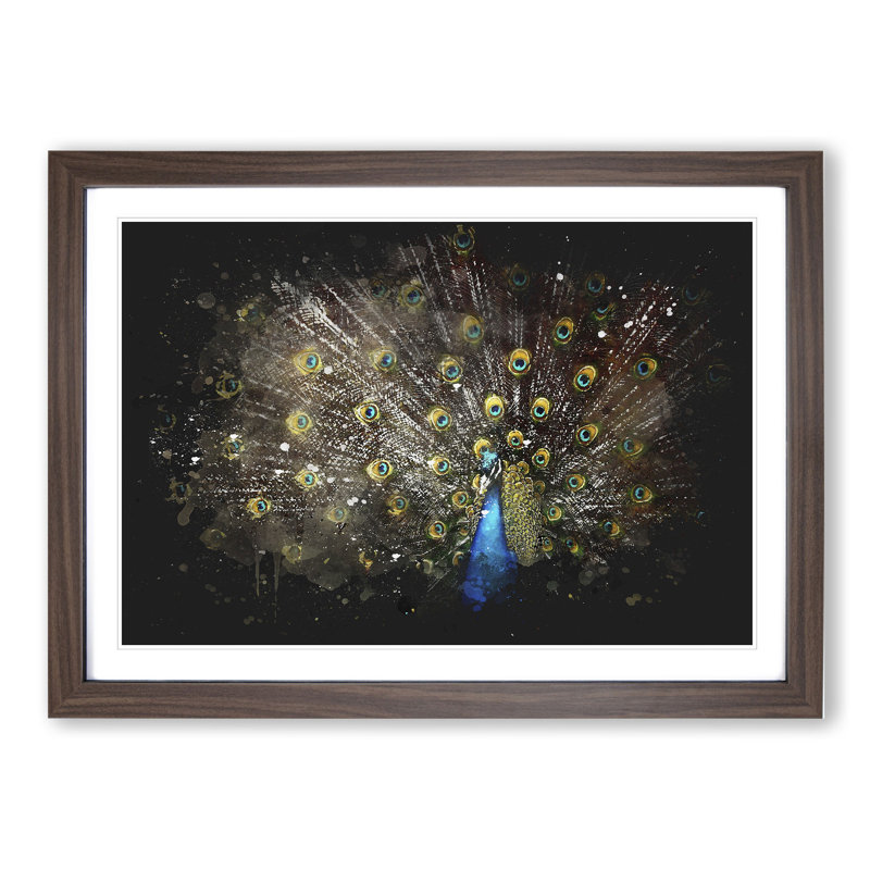 Peacock Vol.1 - Framed Print, 48cm H x 65cm W x 2cm D, Walnut Framed