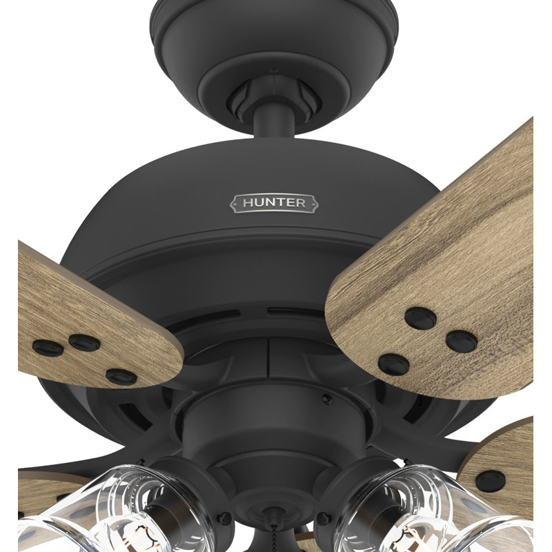 Matte Black and Golden Maple 52" Ceiling Fan with LED Light