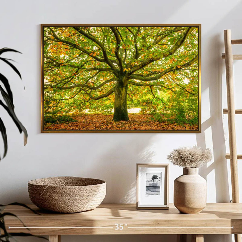 Chêne de Londres, Cadre flottant doré, 25 po x 17 po