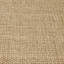 Light Brown Area Rug-637777792