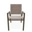Bazza Outdoor Dining Chair-529171553-529171479