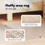 Area Rug-1445169063