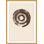 Java Spiral 2 Wall Art & Signage by Mat Sanders