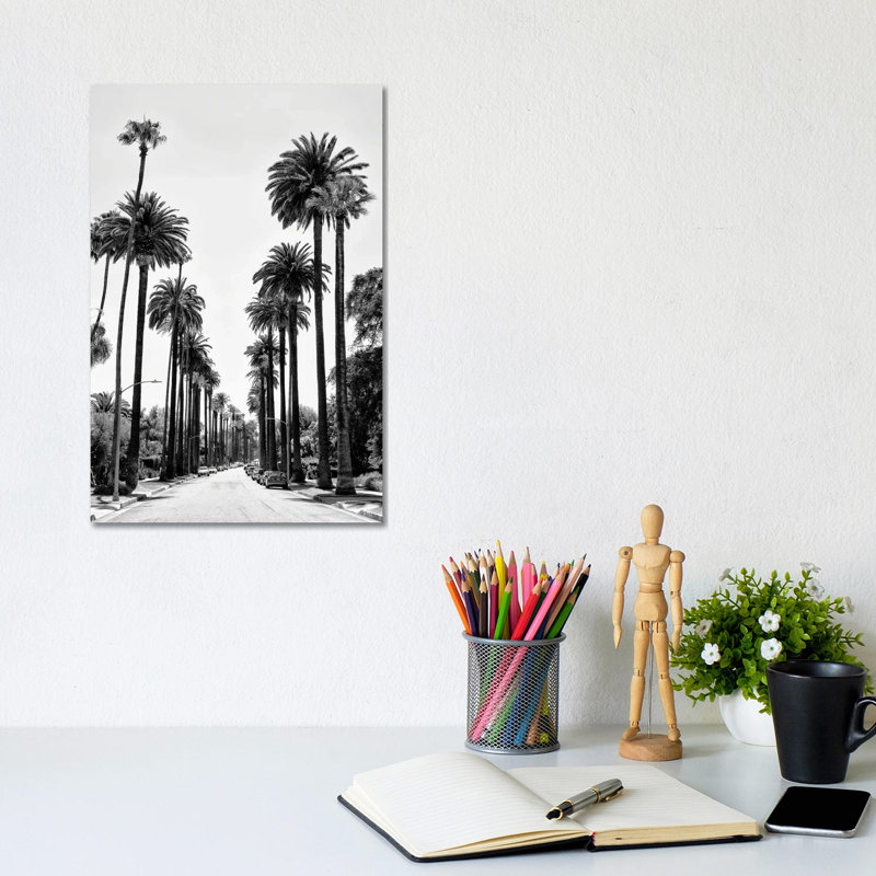 Black California Series - Beverly Hills Palm Alley - Wrapped Canvas Print, 20.32 cm H x 30.48 cm W