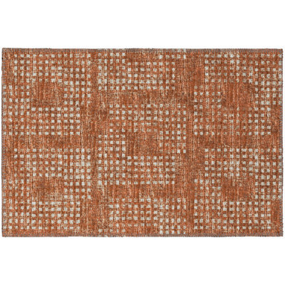 Ilyena Performance Chenille Washable Indoor / Outdoor Rug