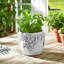 Motif floral en céramique Adeline Planter-1817239596-1817239597