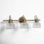 Rosser 3 Light Transparent Dimmable Vanity Light-1314678720