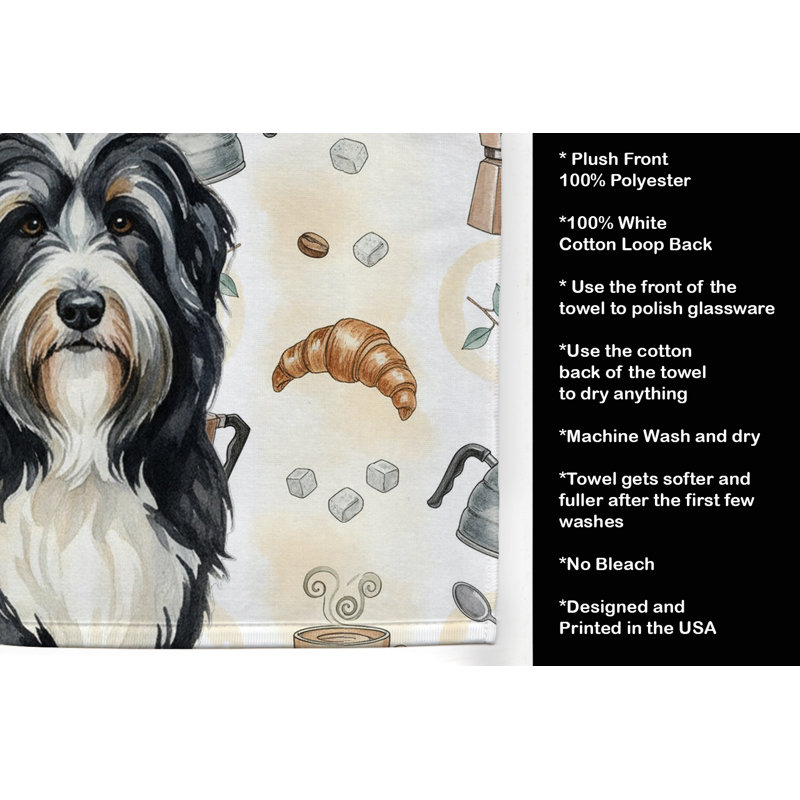 Torchon noir barbu collie, Bearded Collie noir