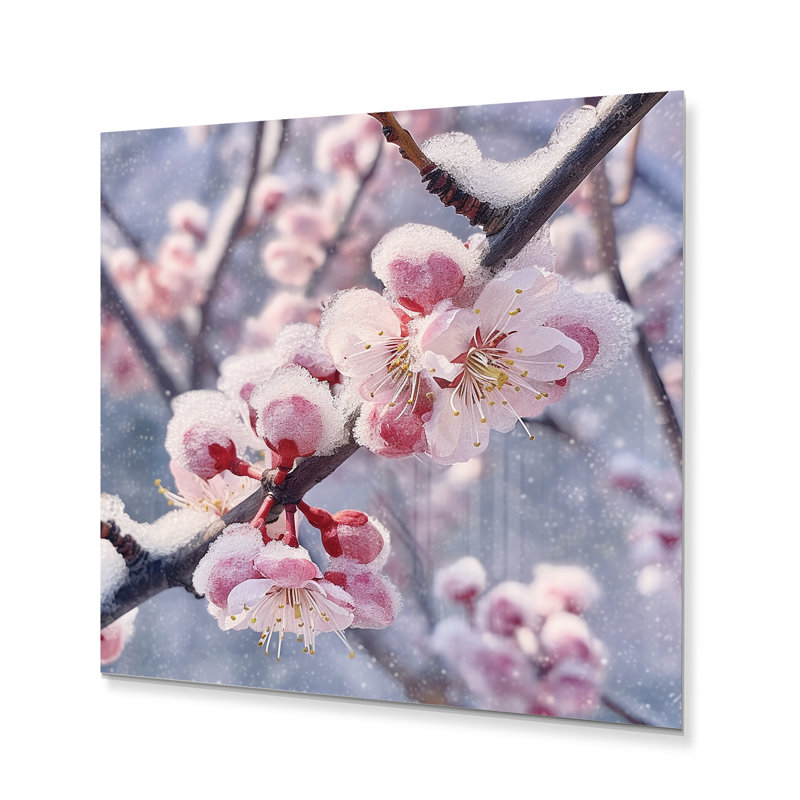 Fleur de cerisier en hiver II - impression florale sur métal, H 23 po x l 23 po x P 1 po