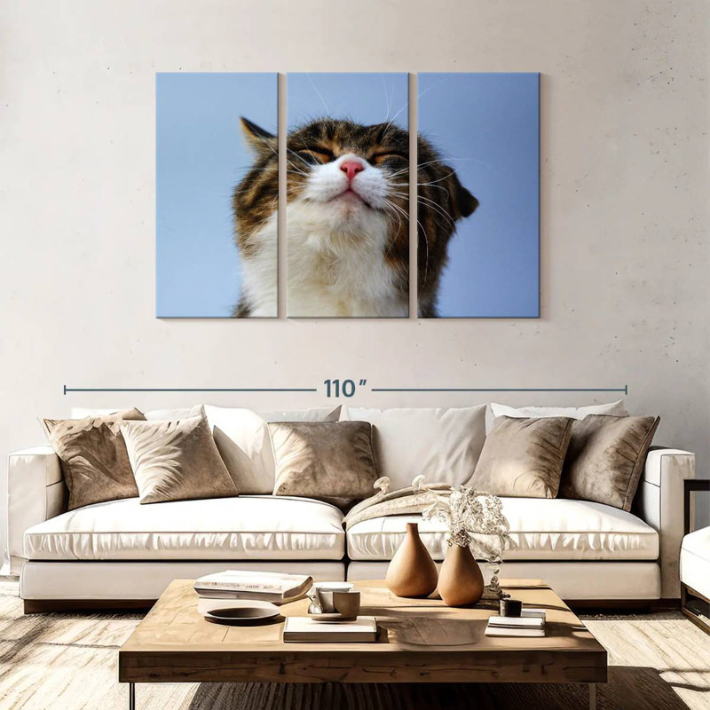 Chat raflé Brampt, H 48 po x l 74 po