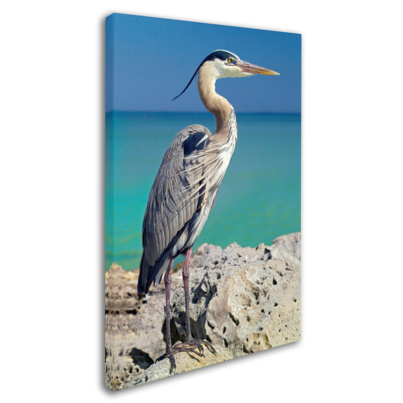 'Blue Heron' Photographic Print on Wrapped Canvas, 19" H x 12" W