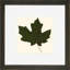 Small Pressed Leaves VI Print