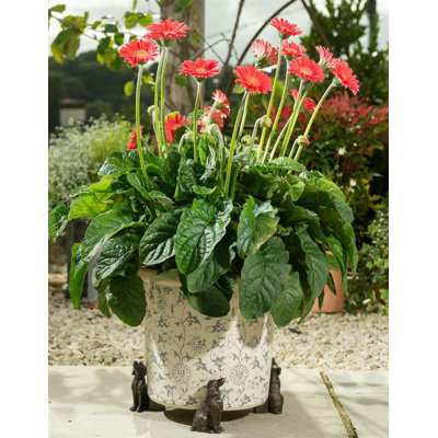 Nara Weather Resistant Planter Feet