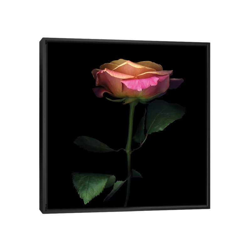 The Glowing Rose, reproduction de photo sur toile tendue, H 18 po x l 18 po x P 1,5 po, Toile avec cadre noir, Pas de tapis