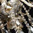 Theisen 6 - Light Empire Chandelier