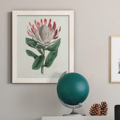 Protea N13 - Peinture sur toile encadrée