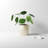 Reggie Handmade Ceramic Pot Planter-73058134