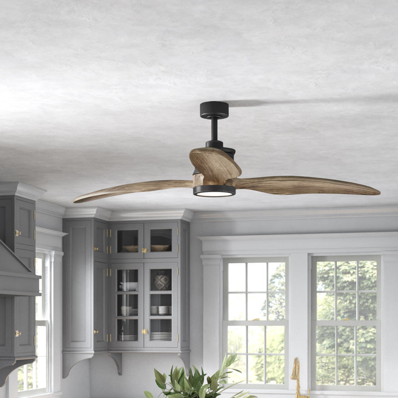 Brielle 60" Wayne LED Standard Ceiling Fan with Pull Chain and Light Kit Included, Graphite with driftwood