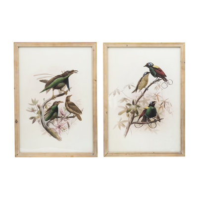 De 2 décorations d'oiseaux colorées encadrées, 19,5 po x 27,5 po, bois, 2 impressions décoratives, coloré, brun