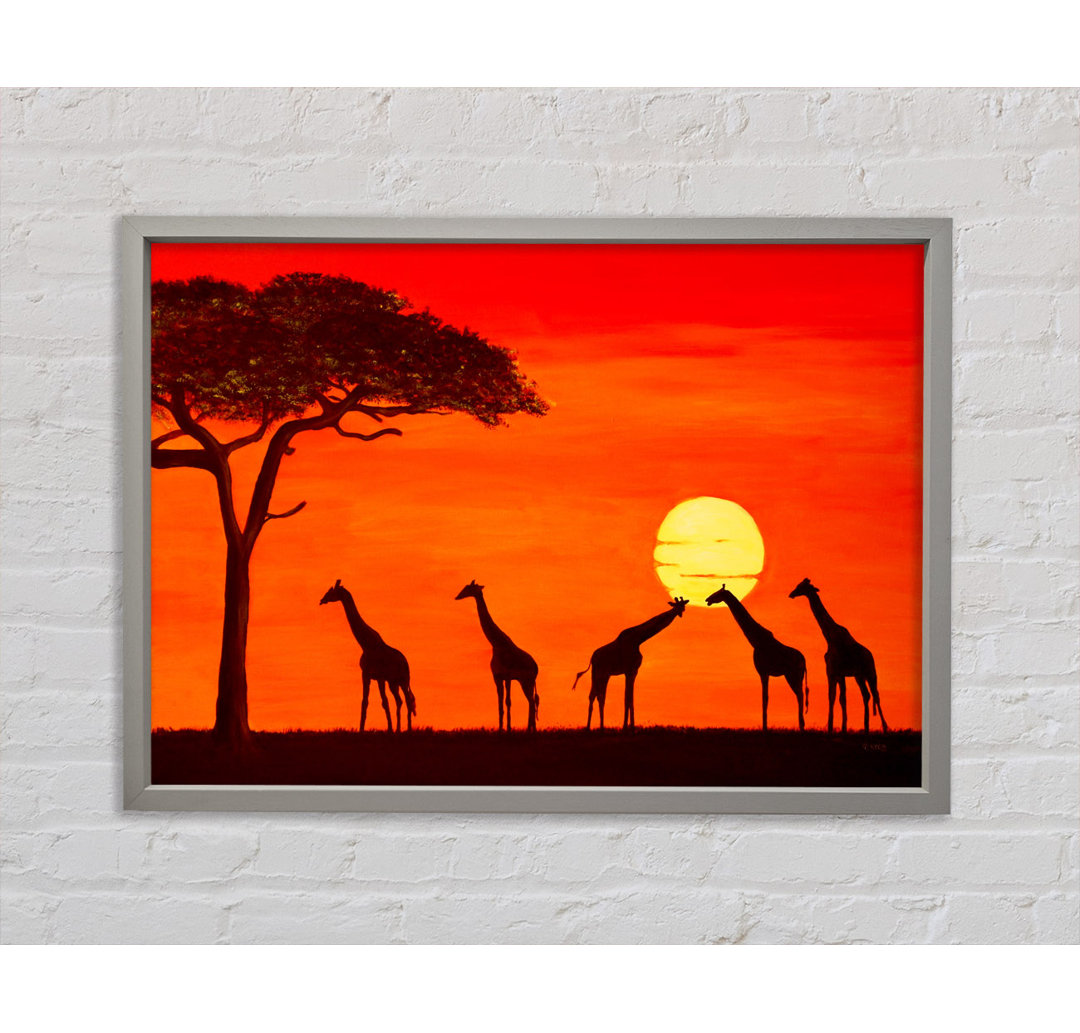 Giraffen bei Sonnenuntergang - Druck