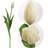 Silk Arrangement-1130139107