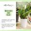 Deltini Pot Planter
