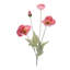 Vaporisateur floral coquelicot-1321593030