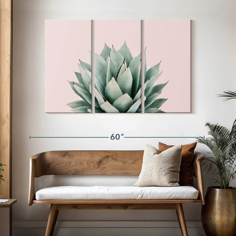 Agave Harnek Blush, H 32 po x l 50 po