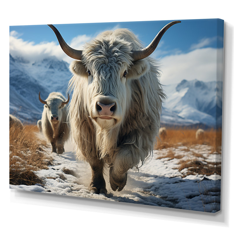 Yaks majestueux en hiver sur toile, H 16 po x l 32 po x P 1 po