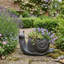Merida SNAIL Planter 24cm Blue Iron Effect