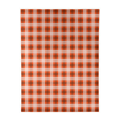 Plaid Indoor Rug