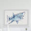 «Shark Outline», reproduction encadrée-50107399