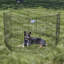 Parc et enclos pliable en métal MidWest Homes for Pet-686335573