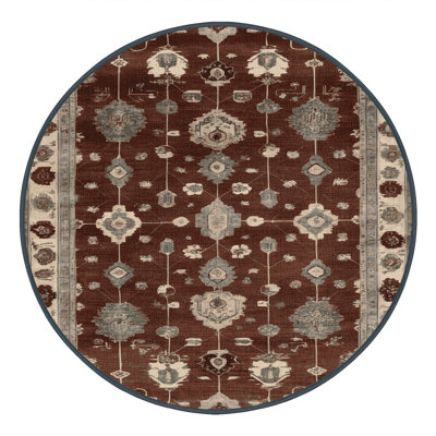 Machine Washable Overdyed Brown Area Rug