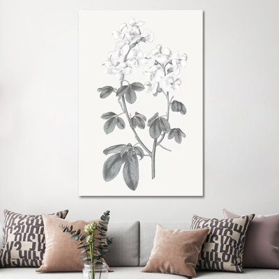 Neutral Botanical III - Wrapped Canvas Painting