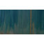 Rideau de douche floral 71 "x 74", lignes délicates par PI Creative Art