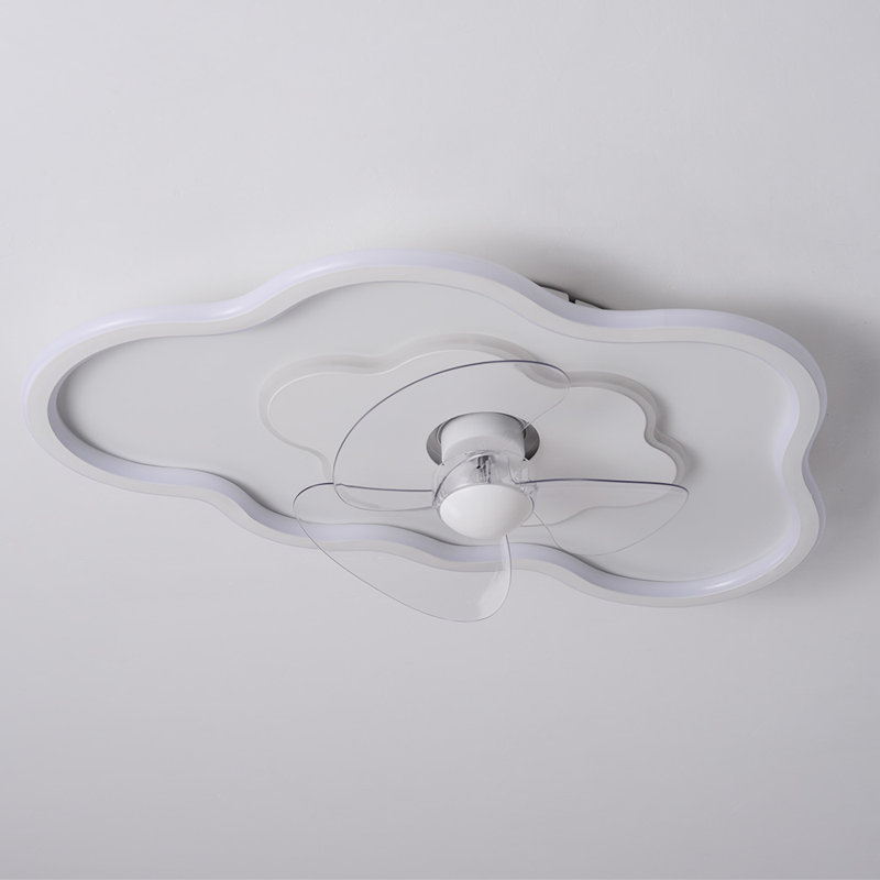 Ceiling Fan with LED Lights