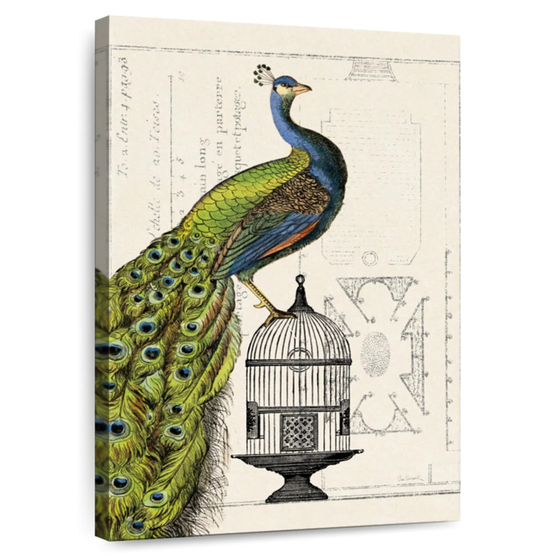 Brampt Peacock Birdcage I, 24" H x 16" W