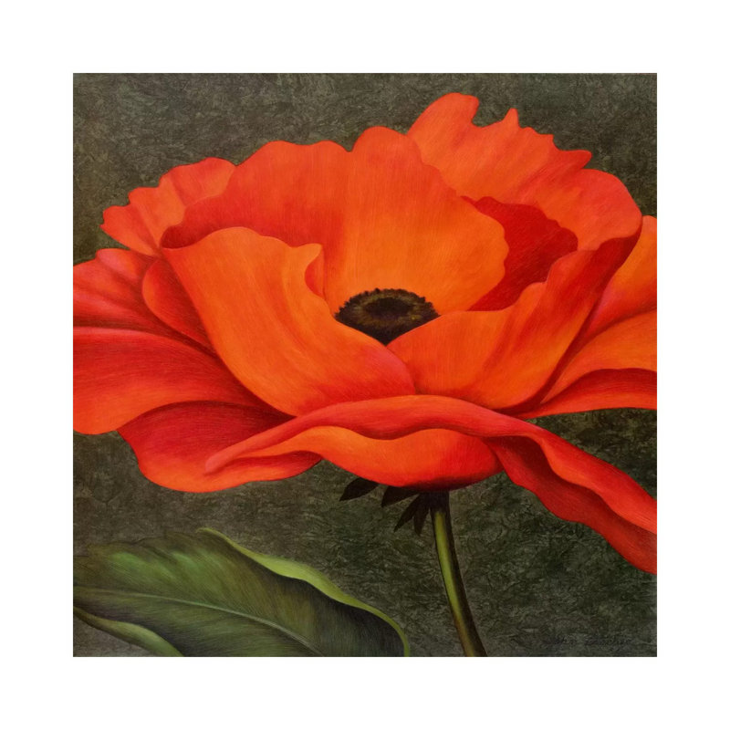 Red Poppy by John Zaccheo - Wrapped Canvas Gallery-Wrapped Canvas Giclée, 30.48 cm H x 30.48 cm W