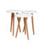 Havre Solid Wood End Table-227858883-227858893