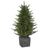 6' Pre-Lit Potted Deluxe Russian Pine Artificial Christmas Tree Warm White LED Lights