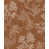 Brown/Orange