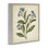 Illustration botanique de bourgeons, estampe numérique, design par Petal Prints Design
