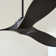 Arcadie 60'' Ceiling Fan