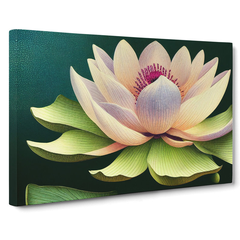 Precious Lotus Flower - Wrapped Canvas Print, 35cm H x 50cm W x 3cm D