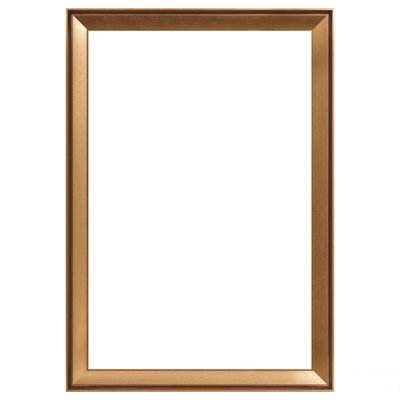 Antique Gold Picture Frame