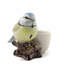 Egg Cup - With - Bird - Blue Tit